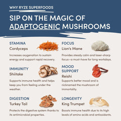 RYZE Nighttime Mushroom Cocoa Starter Bag C7