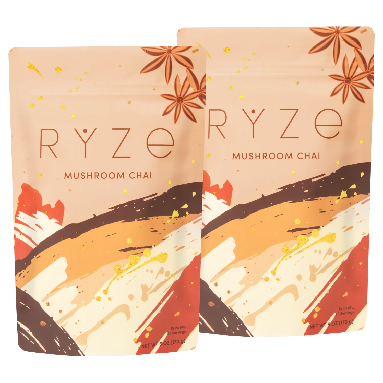 Mushroom Chai Starter Kit: 40 Servings Z2