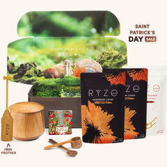 Mushroom Coffee Ritual Set B6