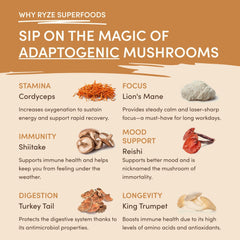 Mushroom Overnight Oats (14 Servings) A3