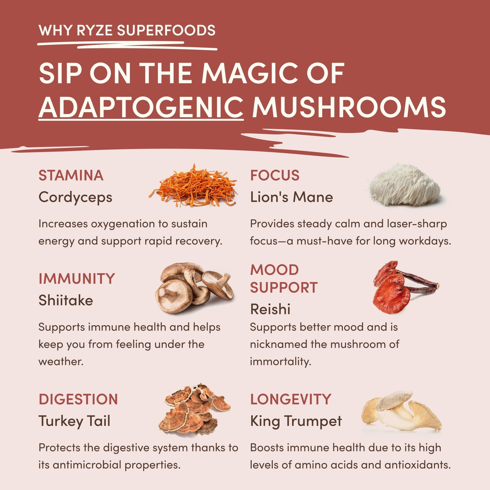 RYZE Mushroom Chicory — Organic Instant Chicory with Shitake & Lions mane, 30 Servings A1
