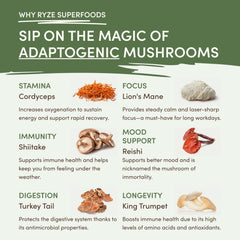 RYZE Mushroom Matcha — Organic Instant Matcha Latte with Lion's Mane & King Trumpet, 30 Servings L5