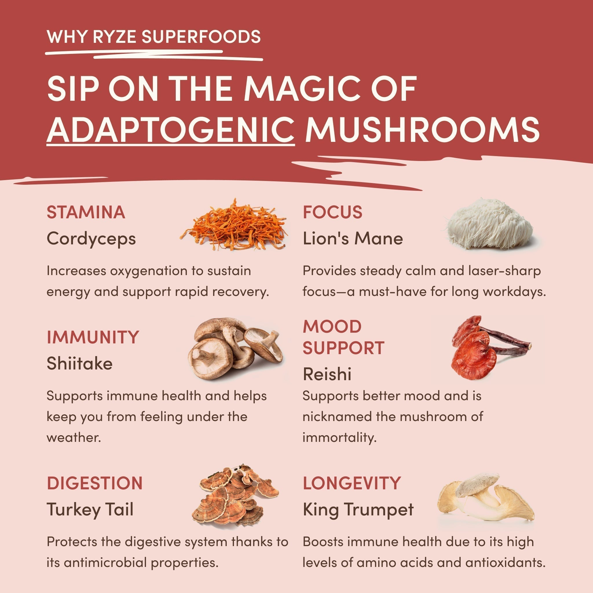RYZE Mushroom Chai — Organic Instant Chai with Reishi & Organic Black Tea, 20 Servings P5