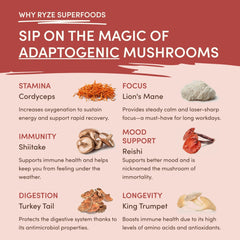 RYZE Mushroom Chai — Organic Instant Chai with Reishi & Organic Black Tea, 20 Servings R0