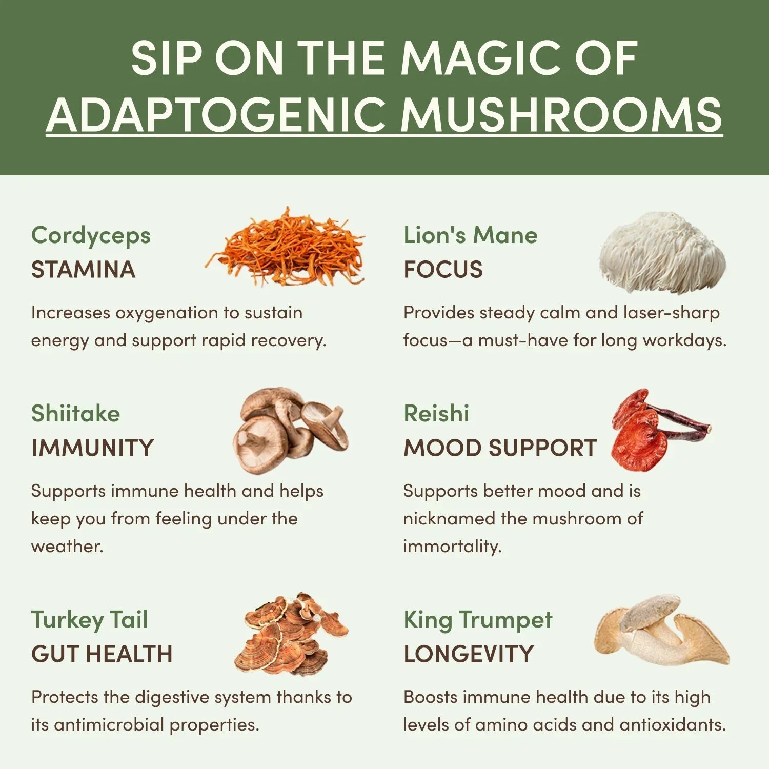 Mushroom Matcha (30 Servings) K6