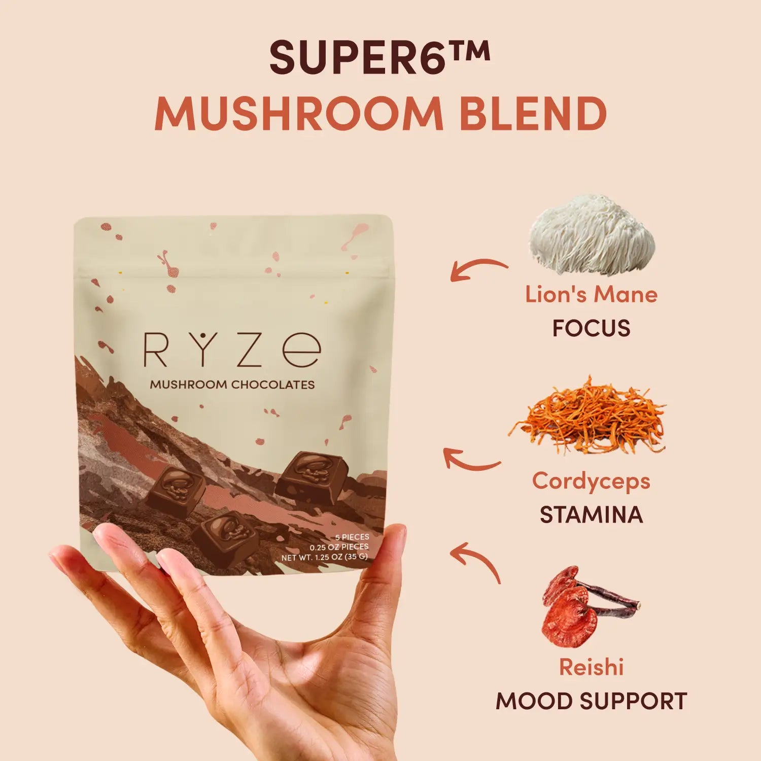 Mushroom Chocolates Rye (15 pieces) L4