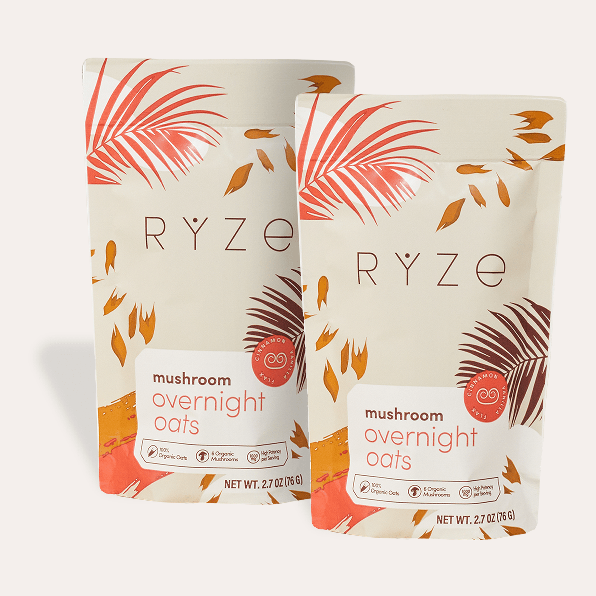 Mushroom Overnight Oats Pack (28 Servings) X1