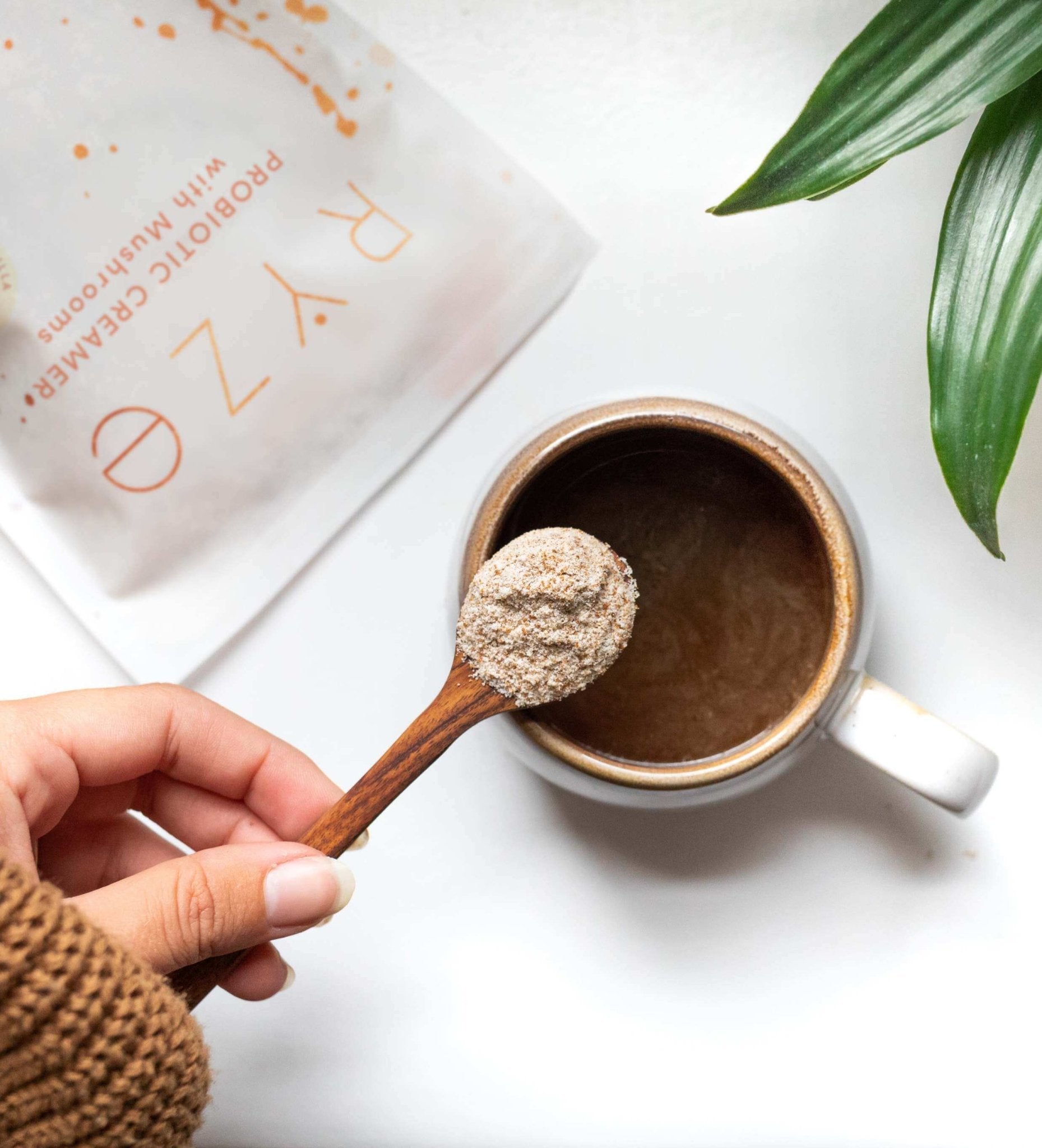 Probiotic Creamer (30 Servings) T3