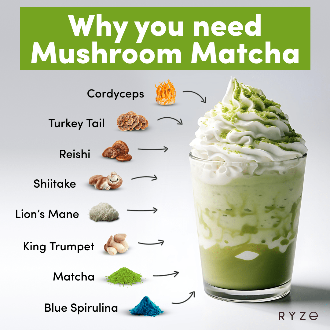 RYZE Mushroom Matcha - with 6 Organic Adaptogenic Mushrooms Grown In USA and Ceremonial-Grade Japanese Matcha P7